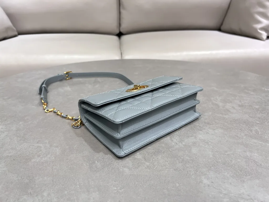 Dior Bag 